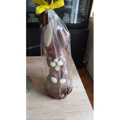 chocolade paashaas