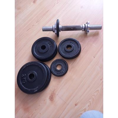 Dumble/ halter met losse schijven.