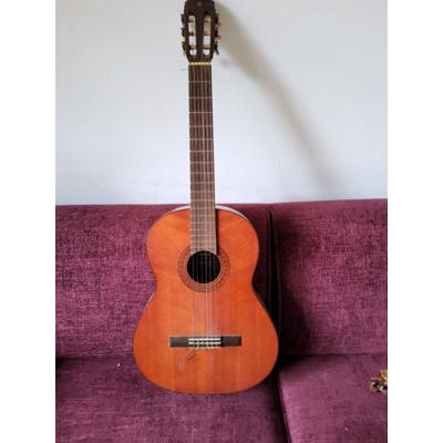 Gitaar Yamaha G65-A 