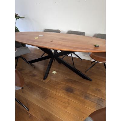 Ovale eettafel en 6 stoelen