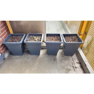 Plastic plantenbakken