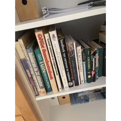 Cactusboek(en) + plantjes