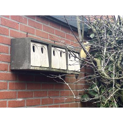 Drie mussenkasten van woodstone materiaal