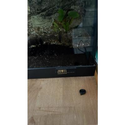 Leeg Aquarium 