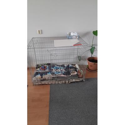 mooie ijzeren bench en groot