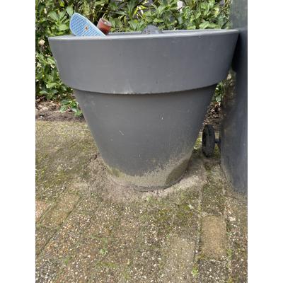 Grote grijze Elho pot met inhoud ( aarde en hydrokorrels