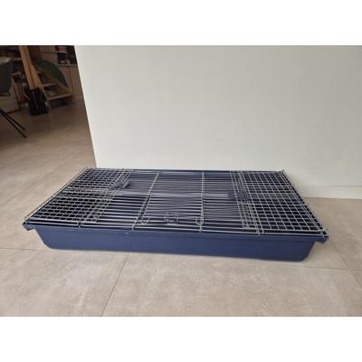 Caviakooi met blauwe bak