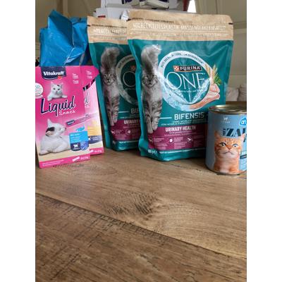 Verschillende soorten kattenvoer en snacks