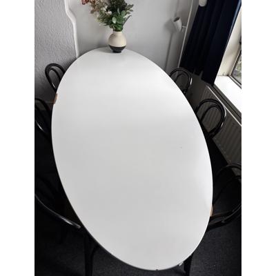 Grote eettafel (6 tot 8 personen) 