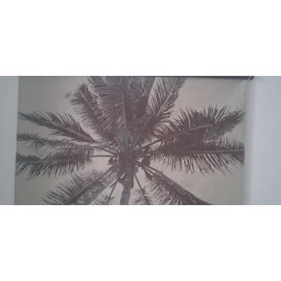 gratis ophalen zie foto,s houtwijk Dekkers hoek