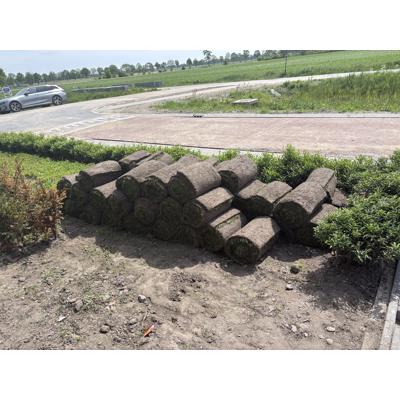 Graszoden circa 40m2