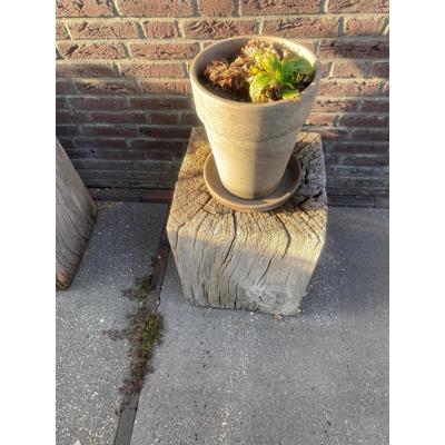 gratis eiken blokken met duddah beeld