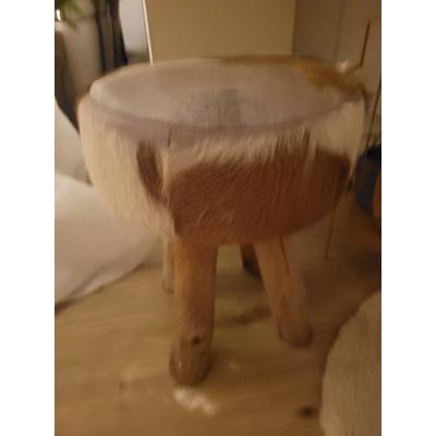 Stevige kruk (kale) geit 