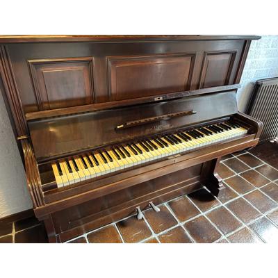 Piano rich LIPP sohn