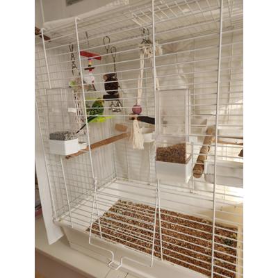 Parkietje aangeboden