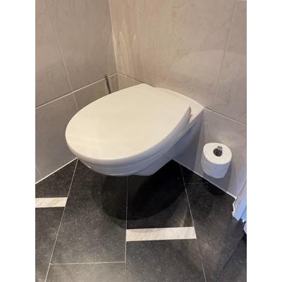 Villeroy&b0ch wandcloset met softclosed zitting pergamon