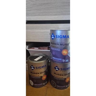 Sigma muurverf 3x 5 liter