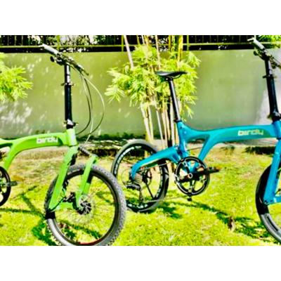 2 Riese Birdy Müller Vouwfietsen voor mee te nemen per Auto naar Italië 