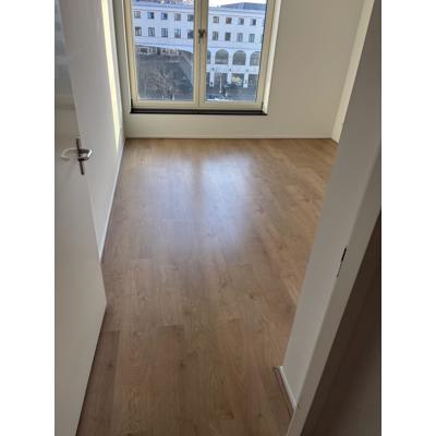 Laminaatvloer (verwijderen en ophalen