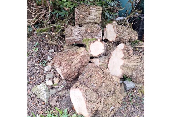 Stukken acaciahout - 17722864179278697600664242867463