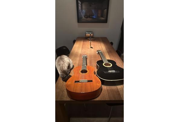 2 spaanse gitaren - IMG_9860 2 spaanse gitaren - IMG_9860