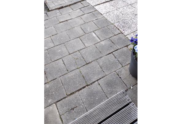36 grindtegels 30 bij 30 en stoeptegels  liggen nog in tuin wel zelf eruit halen - IMG_20250509_194102047