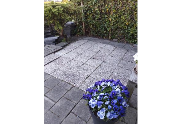 36 grindtegels 30 bij 30 en stoeptegels  liggen nog in tuin wel zelf eruit halen - IMG_20250509_194104691