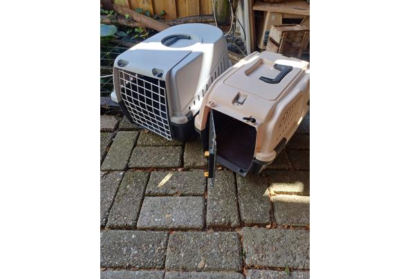 Kattenbak en Reismand - 20250905_113740