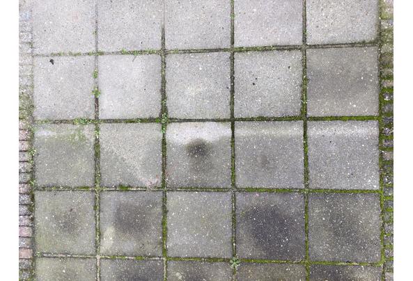 terrastegels 29x29 100 stuks  - IMG_20260117_134037