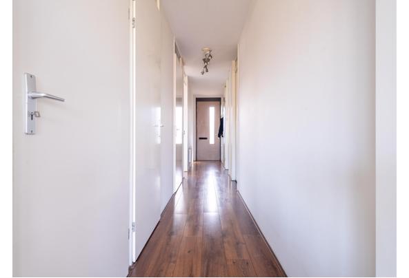 Gratis af te halen: nette laminaatvloer in Amsterdam - id_297678_646076641753