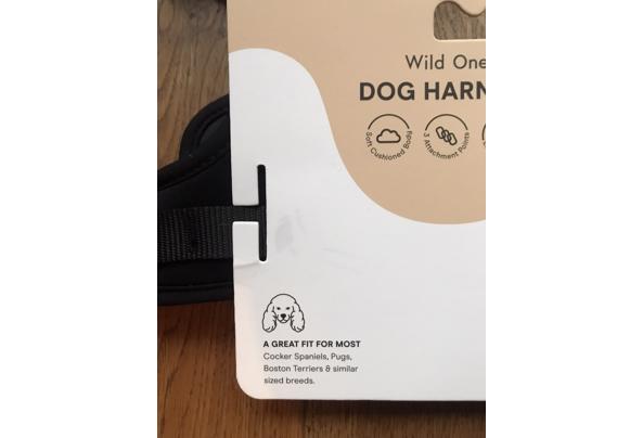 Tuigje voor kleine hond - D8912E02-5A4C-4ADA-A659-650AF22EF4C0