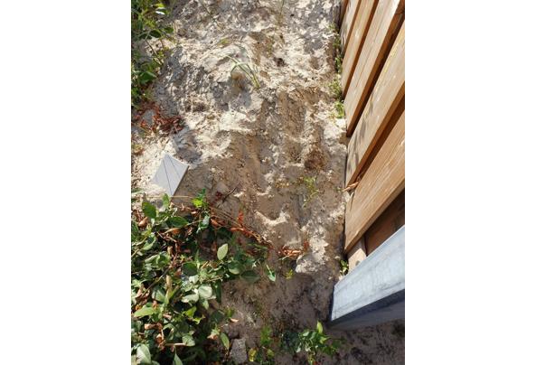 gele zand gratis - 20250819_172412