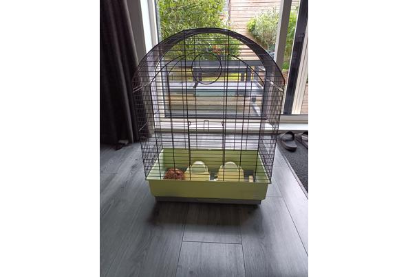 Gebruikte in goede staat zijnde vogelkooi - IMG20260917151844