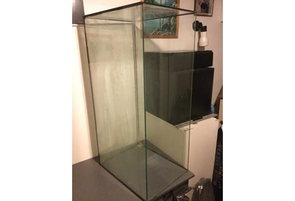 Glazen terrarium bak - image