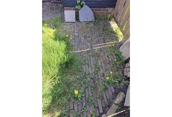 Waaltjes totaal ongeveer 3m2 - 20250501_114345
