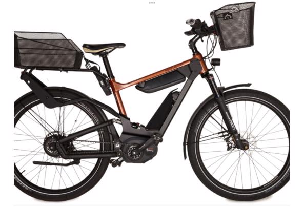 Set Riese Müller Delite Elektrische Fietsen Gezocht met of zonder Kentekenplaat  - IMG_4153