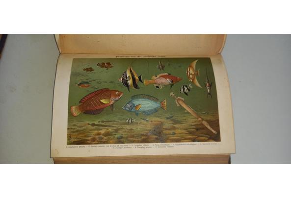 Winkler prins encyclopedie 16 delig  - 17537716016569019153330238768419