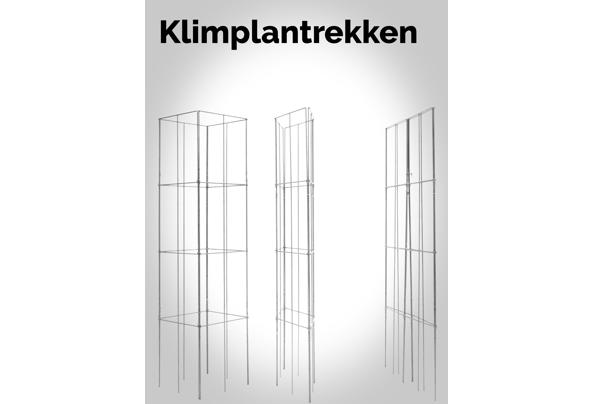 KLIMPLANTREK plantenrek plantrek plantrekken plantenrekken - 2-klimplantrekken_637476829515254994