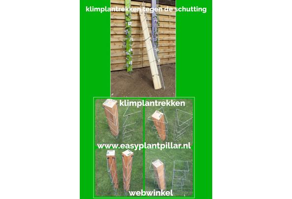 KLIMPLANTREK plantenrek plantrek plantrekken plantenrekken - COLLAGE_20210112_112543_637476829551912328