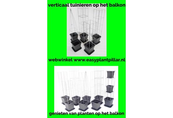KLIMPLANTREK plantenrek plantrek plantrekken plantenrekken - COLLAGE_20210113_09_637476829562484837