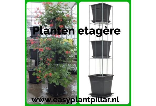 KLIMPLANTREK plantenrek plantrek plantrekken plantenrekken - COLLAGE_20210118_151930_637476829690615710