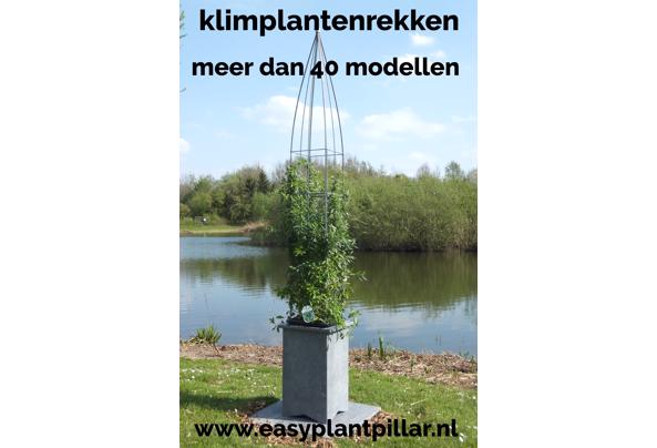 KLIMPLANTREK plantenrek plantrek plantrekken plantenrekken - COLLAGE_20210118_170252_637476829705020809