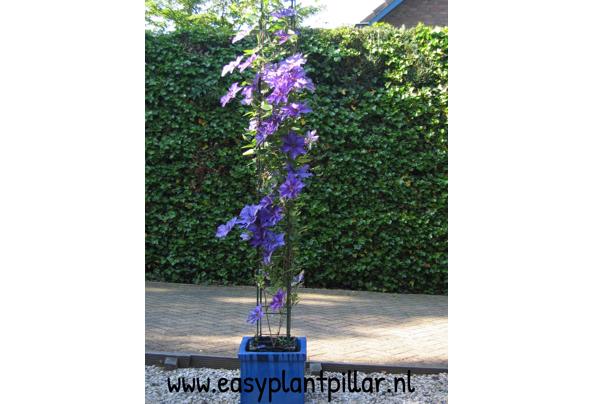 KLIMPLANTREK plantenrek plantrek plantrekken plantenrekken - Easy-Plant-Pillar-Webwinkel-(1)_637476830204548184