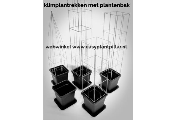KLIMPLANTREK plantenrek plantrek plantrekken plantenrekken - klimplantrekken-(1)_637476829948903069