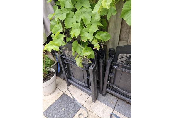 Makkelijk verstelbare tuinstoelen - 20260630_171047
