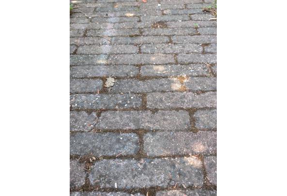 Betonklinkers (±18 m²) – zelf verwijderen - PXL_20260802_085939396