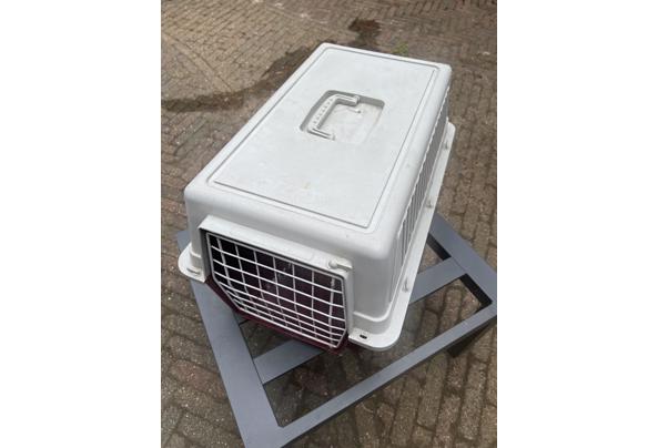 Reismand voor kat. - IMG_9861