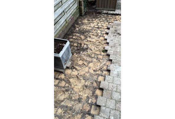 Gratis terras stenen af te halen - CB1EA83B-3D07-4C36-8E76-A76D58774E66_637830493370483554