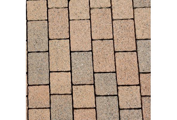 Terrakleurige klinkers - 20260325_150338