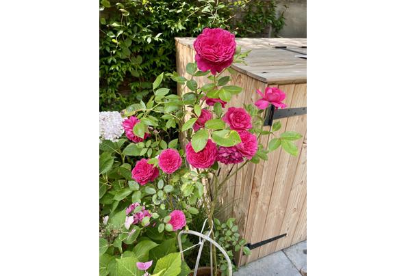 Vuilcontainer Opslag - Screenshot-2026-03-08-at-15-44-54